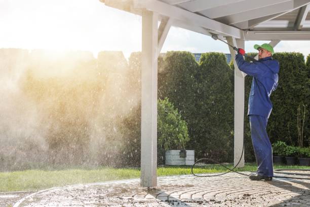 Best Pre-Holiday Cleaning  in Worthington, MN