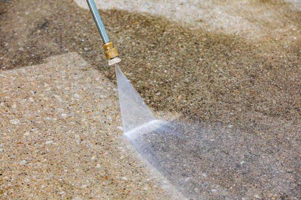 Best Dumpster Area Cleaning  in Worthington, MN