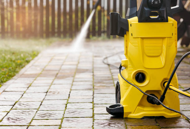 Best Animal Enclosure Cleaning  in Worthington, MN